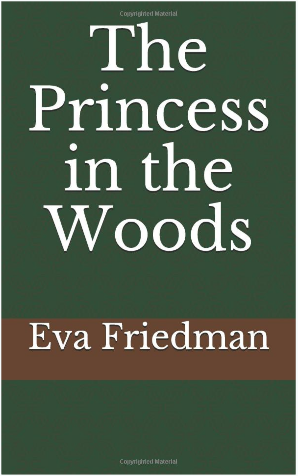 Princess in the Woods book cover